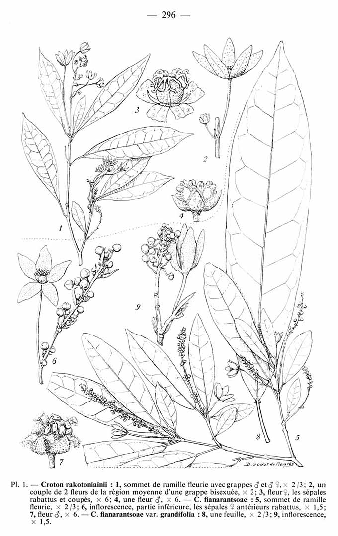 no HD illustration available (m5)