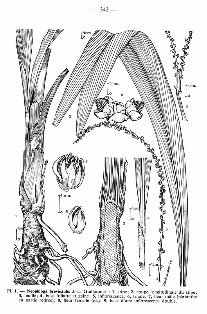 no HD illustration available (m5)