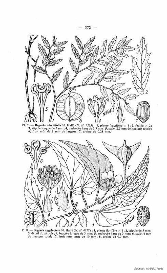 no HD illustration available (m5)