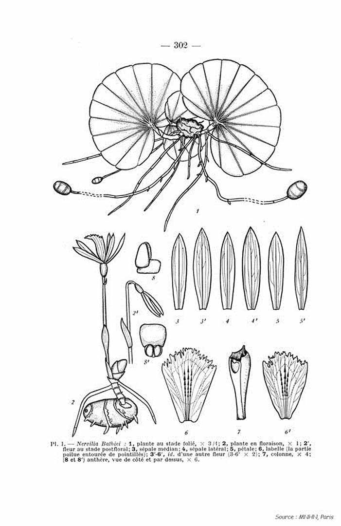 no HD illustration available (m5)