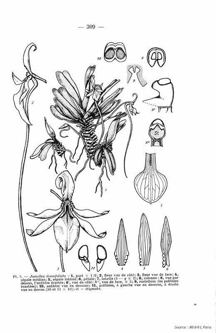 no HD illustration available (m5)