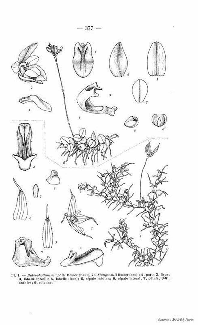 no HD illustration available (m5)