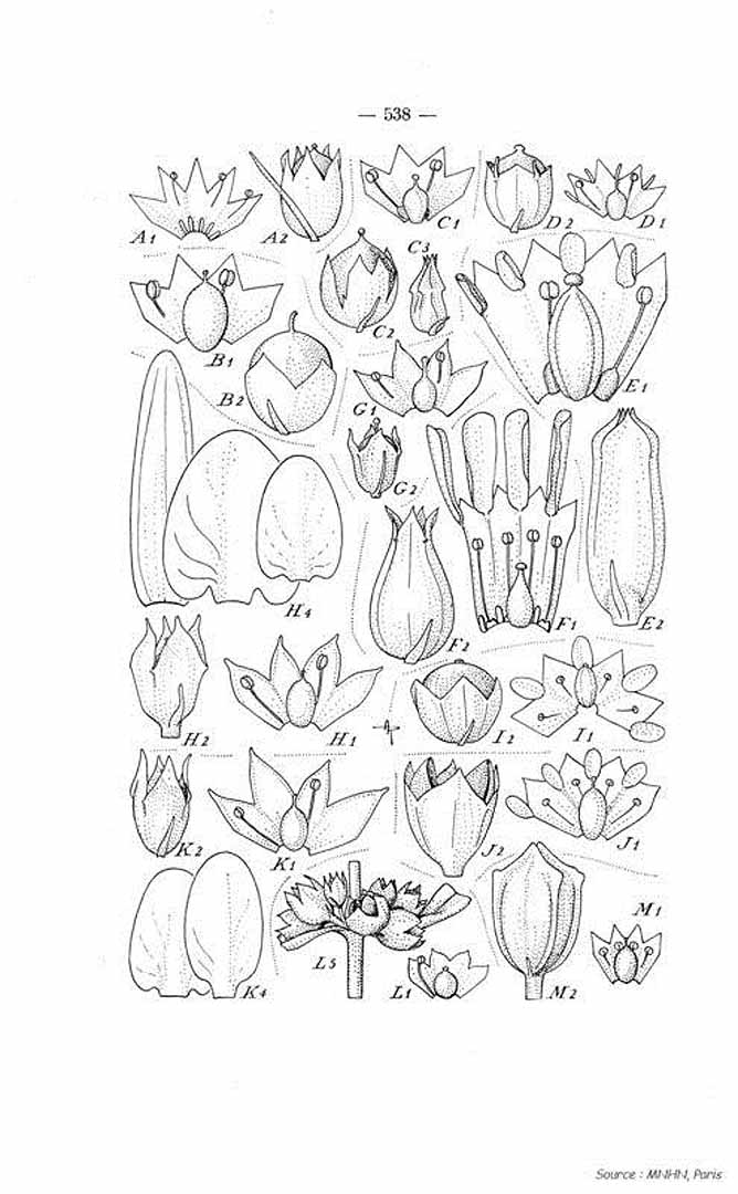 no HD illustration available (m5)