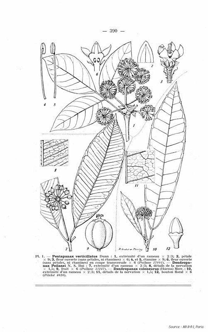 no HD illustration available (m5)