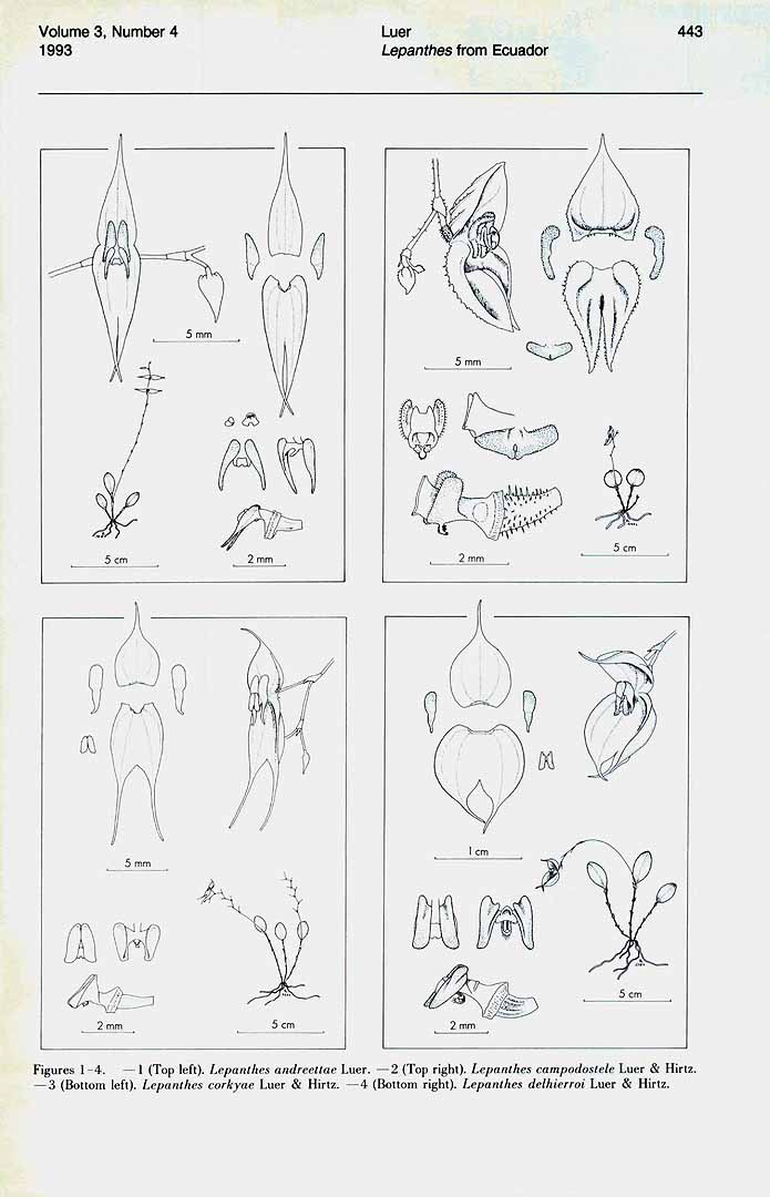 no HD illustration available (m5)