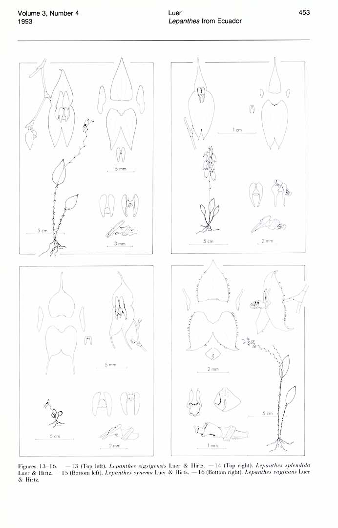 no HD illustration available (m5)