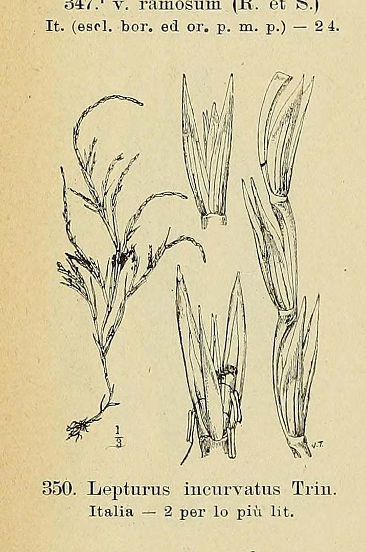 no HD illustration available (m5)