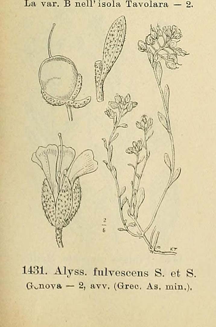 no HD illustration available (m5)