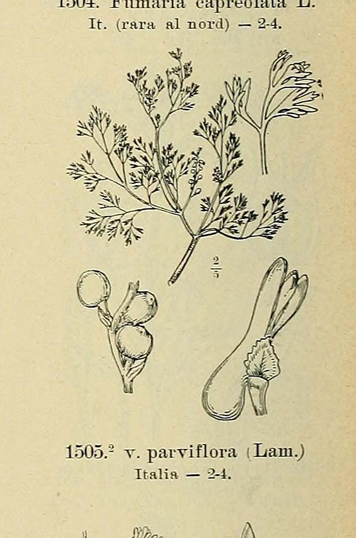 no HD illustration available (m5)