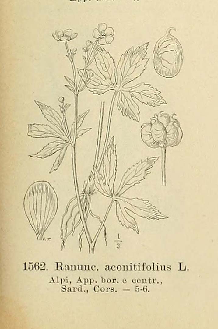 no HD illustration available (m5)