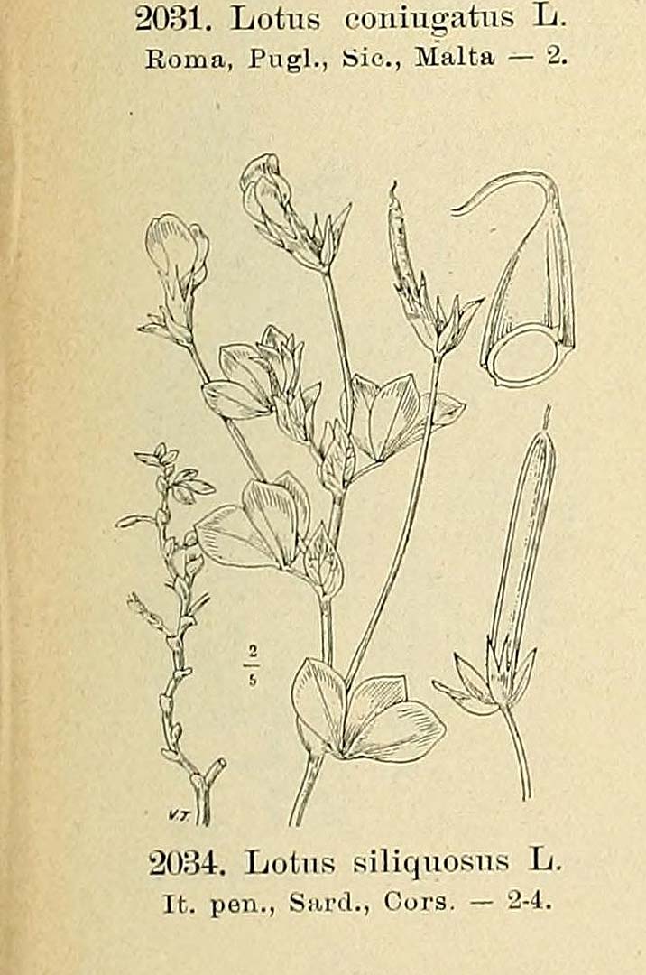 no HD illustration available (m5)