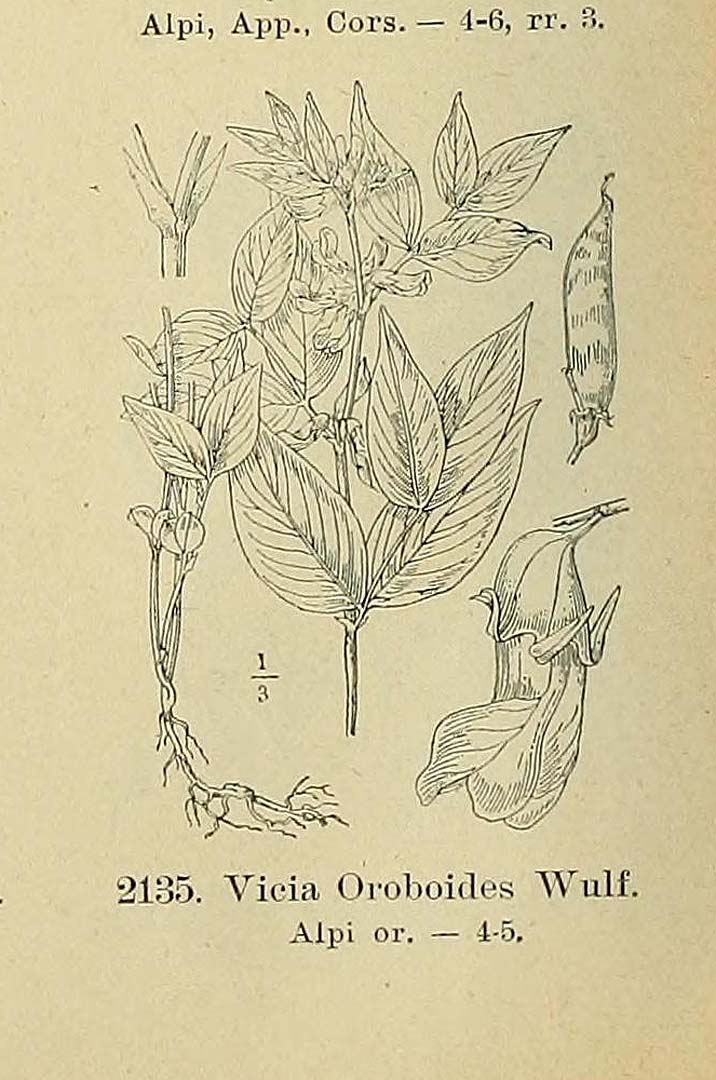 no HD illustration available (m5)