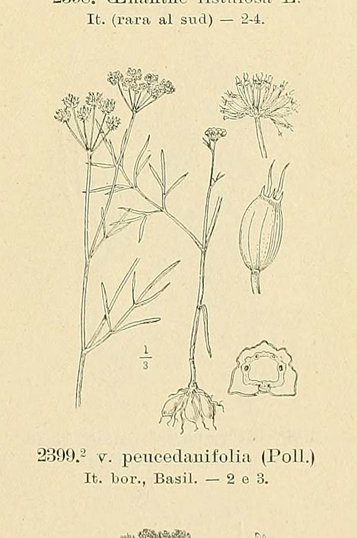 no HD illustration available (m5)