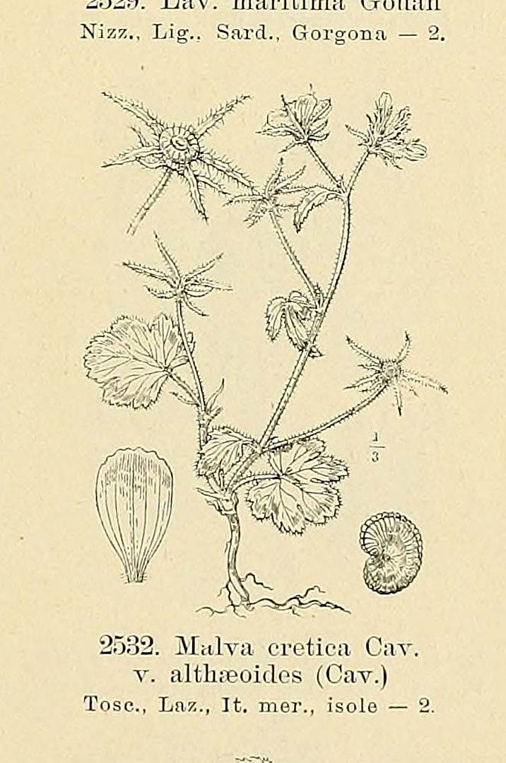 no HD illustration available (m5)