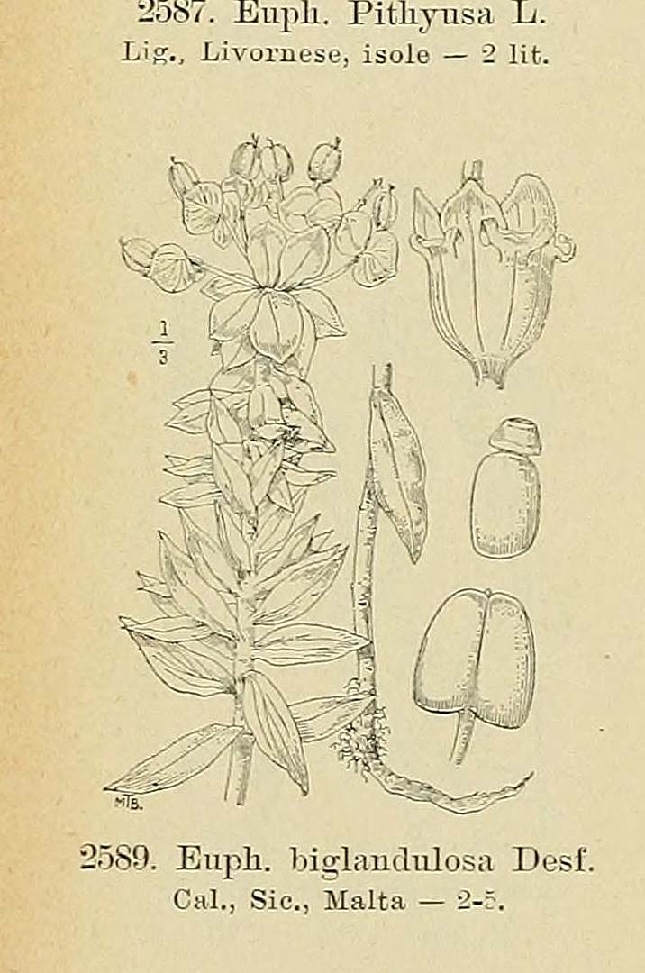 no HD illustration available (m5)