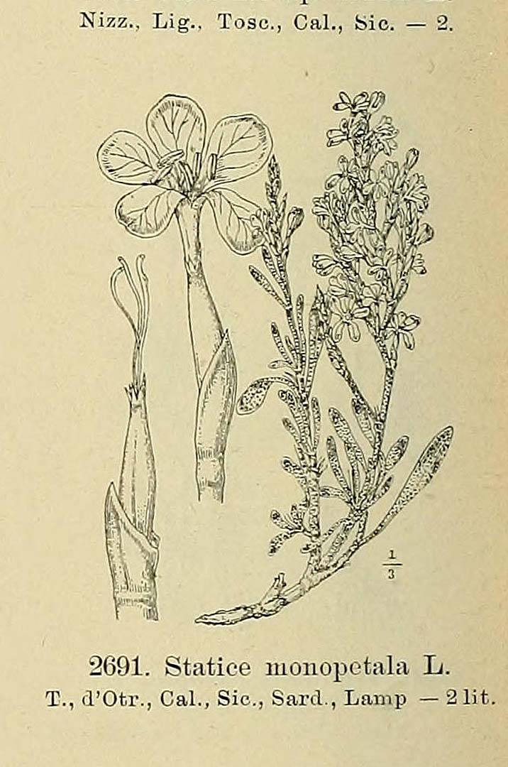 no HD illustration available (m5)