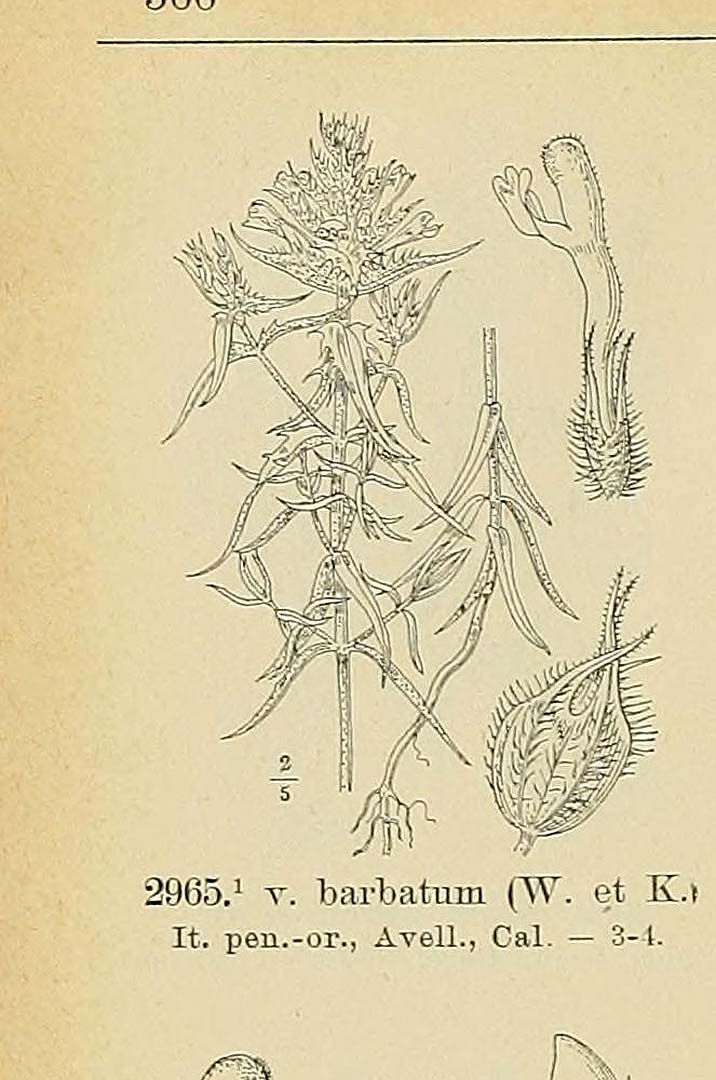 no HD illustration available (m5)