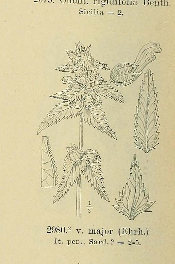 no HD illustration available (m5)