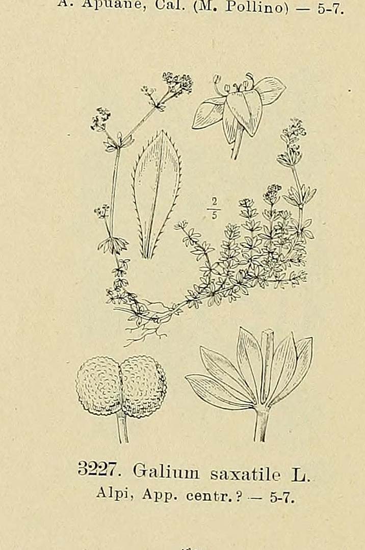 no HD illustration available (m5)
