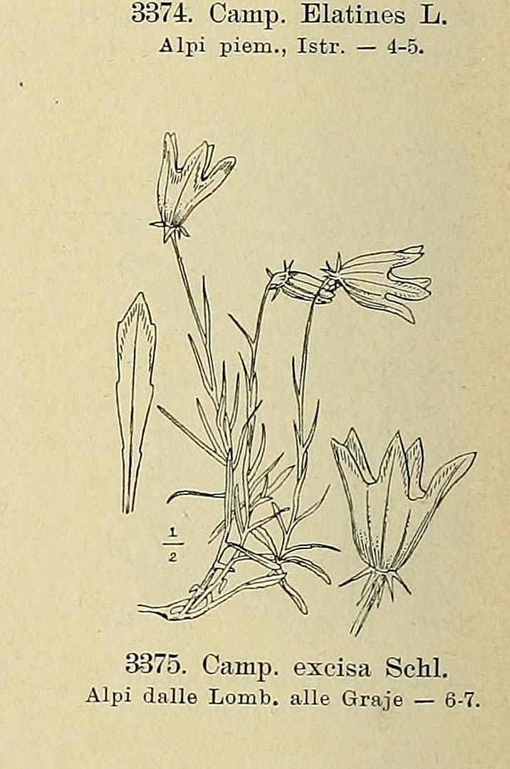 no HD illustration available (m5)
