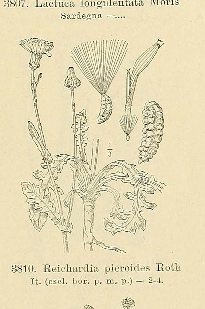 no HD illustration available (m5)