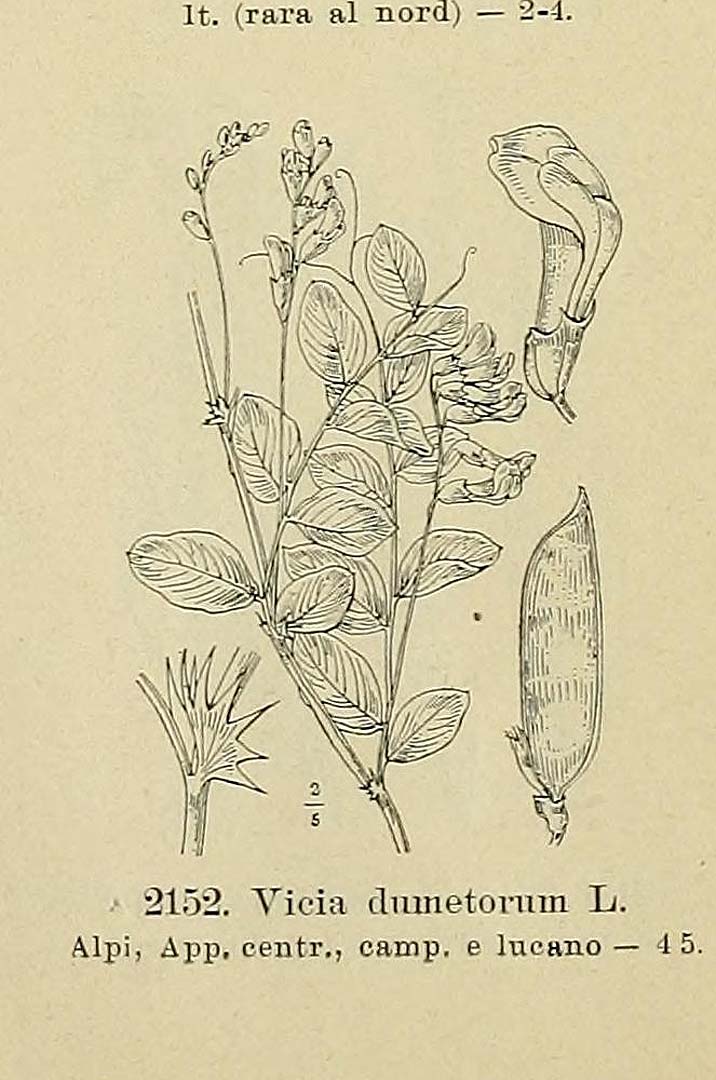 no HD illustration available (m5)