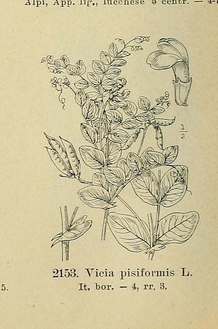 no HD illustration available (m5)