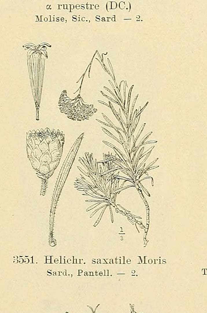 no HD illustration available (m5)