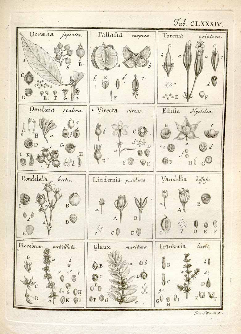 no HD illustration available (m5)