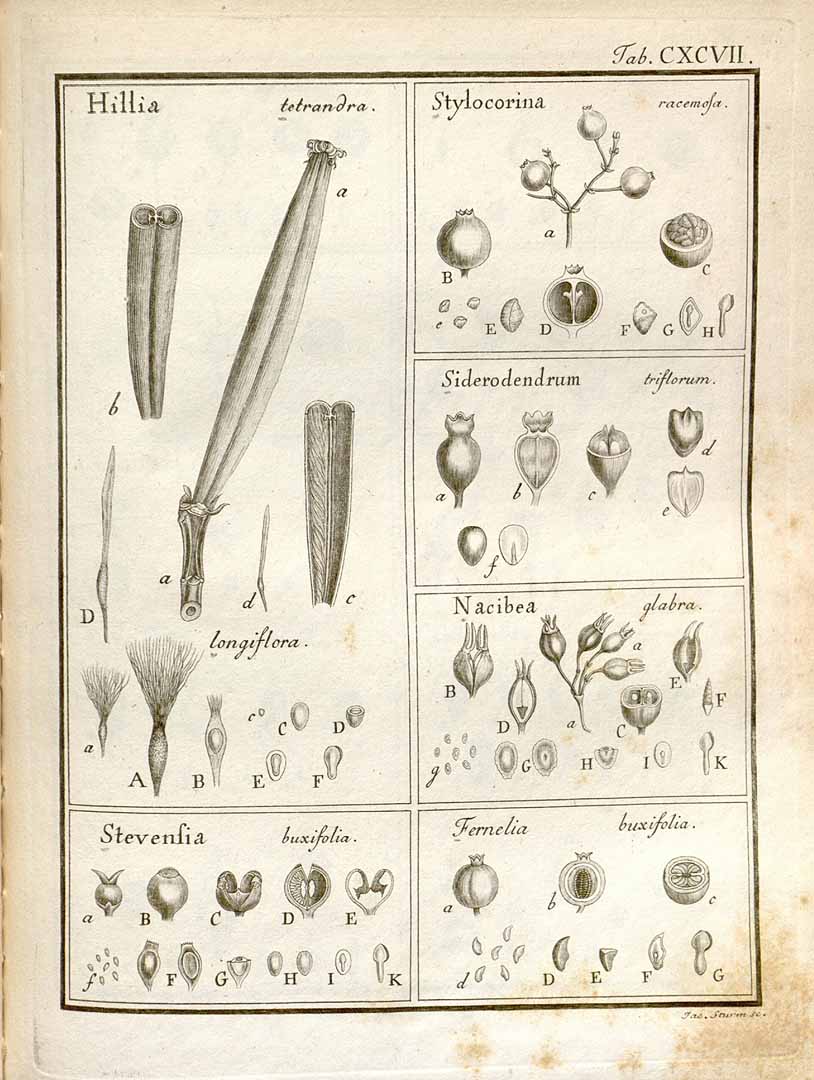 no HD illustration available (m5)