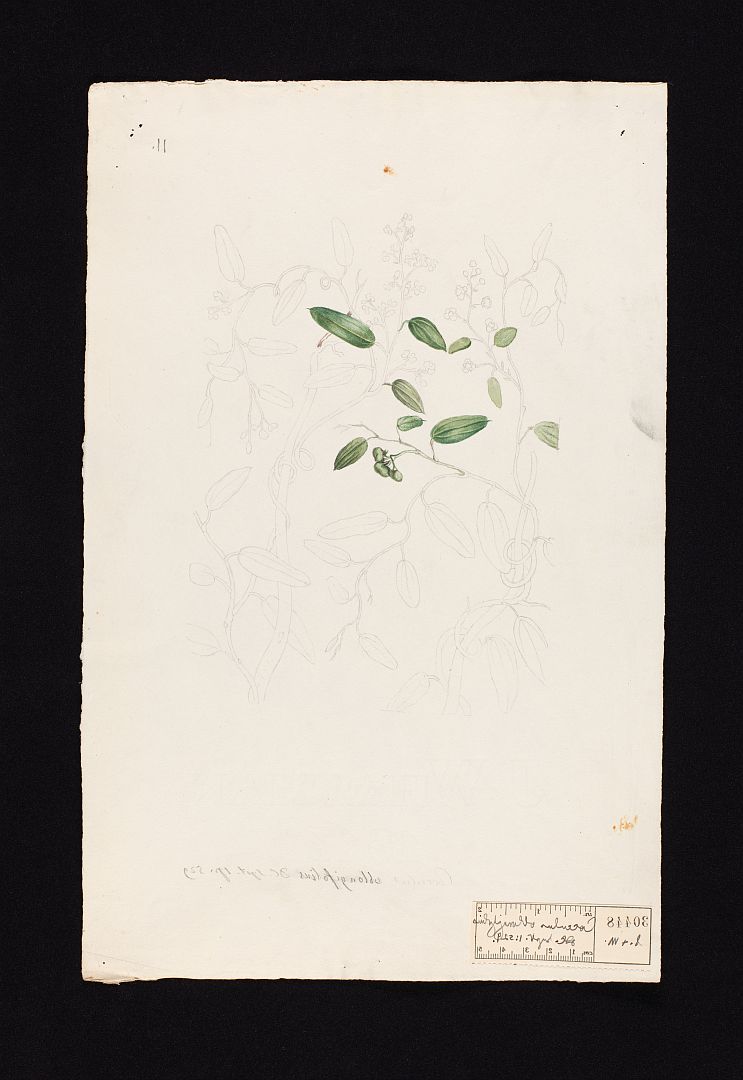 no HD illustration available (m5)