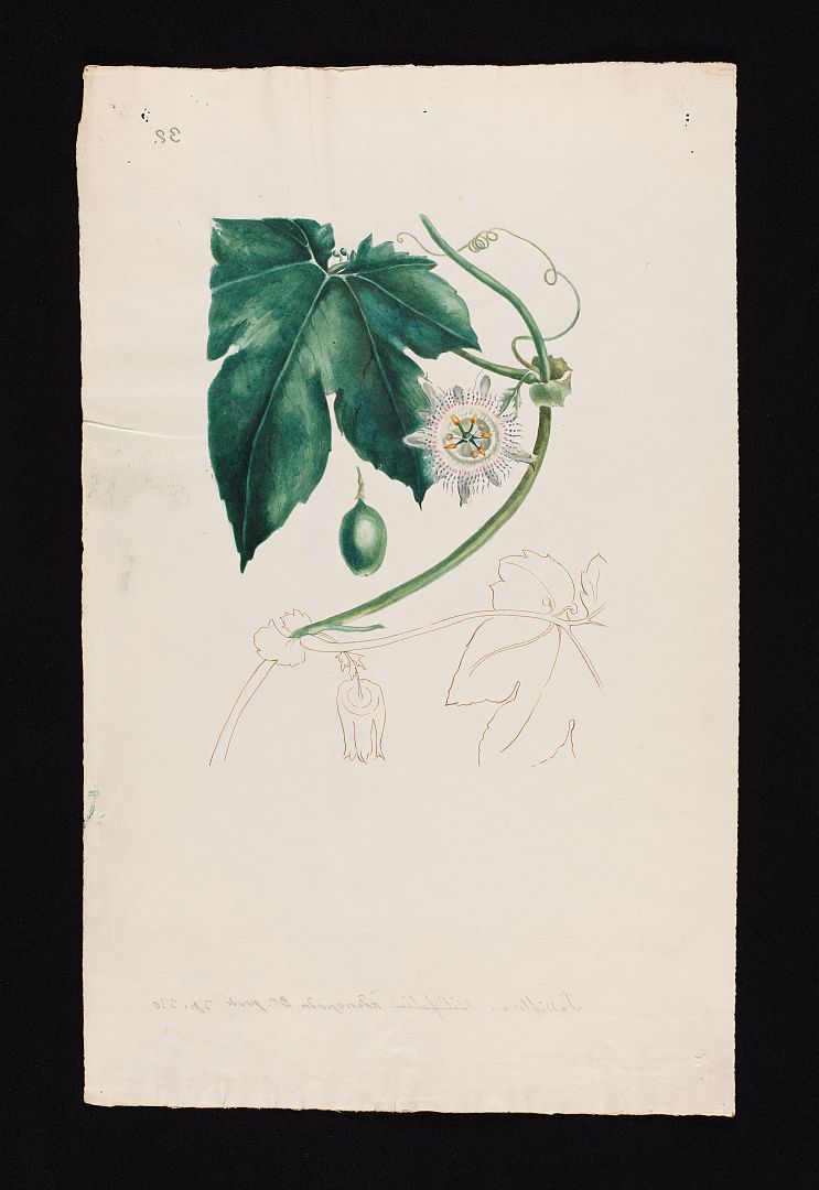 no HD illustration available (m5)