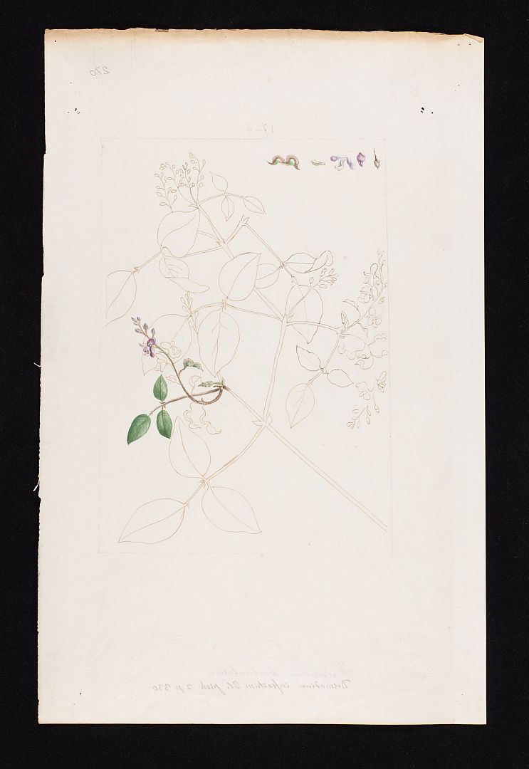 no HD illustration available (m5)