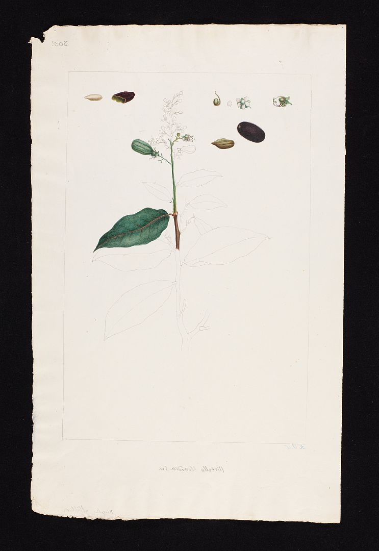 no HD illustration available (m5)
