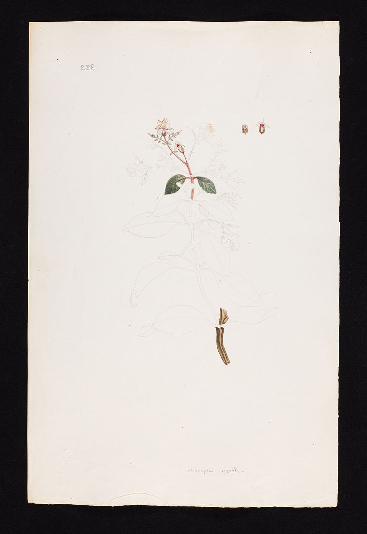 no HD illustration available (m5)