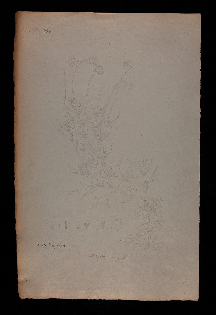 no HD illustration available (m5)