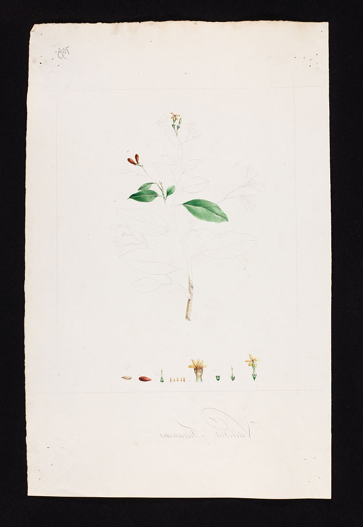 no HD illustration available (m5)