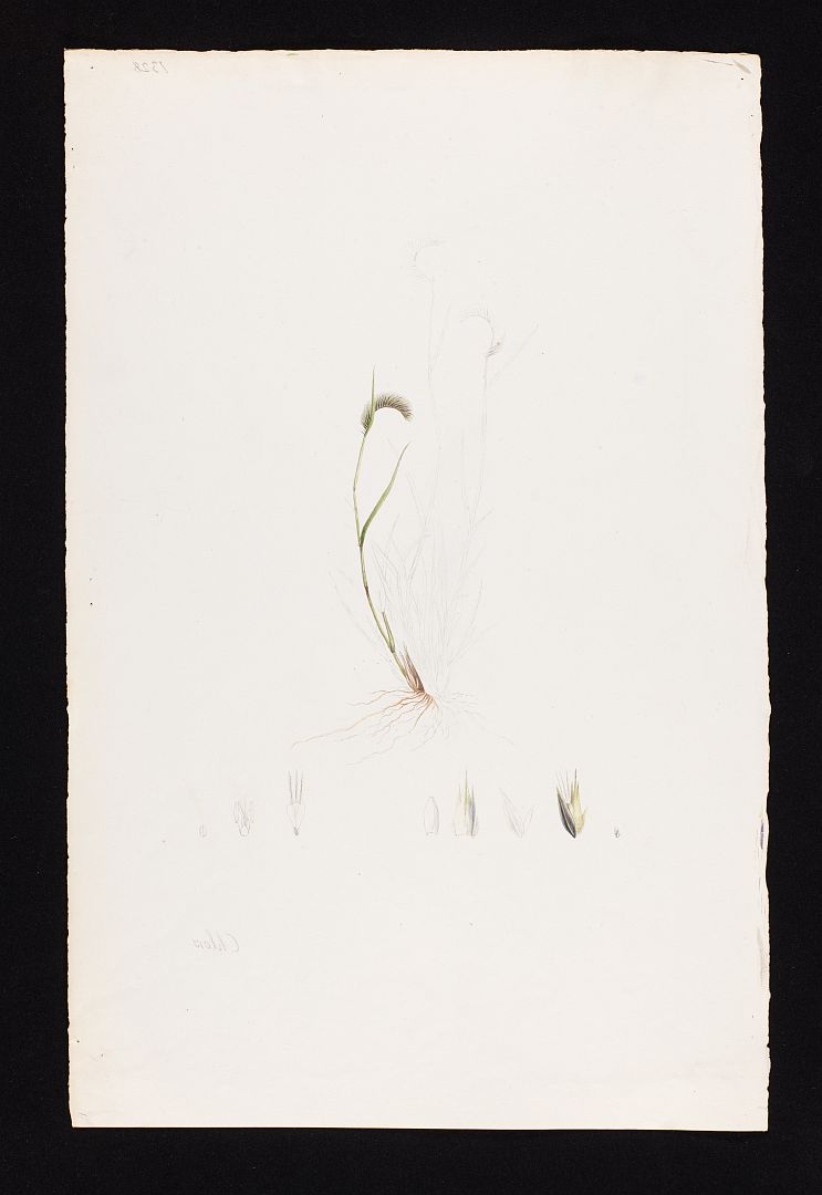 no HD illustration available (m5)