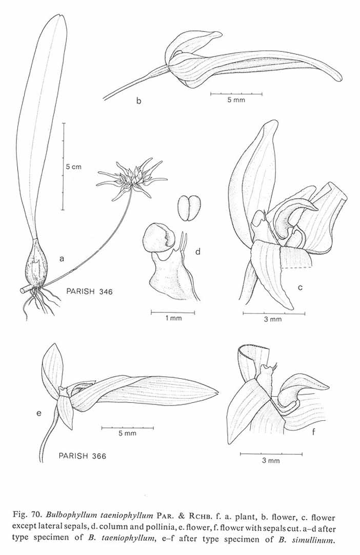 no HD illustration available (m5)