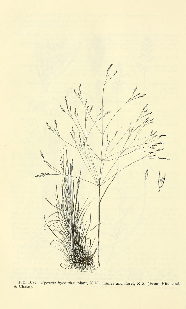 no HD illustration available (m5)