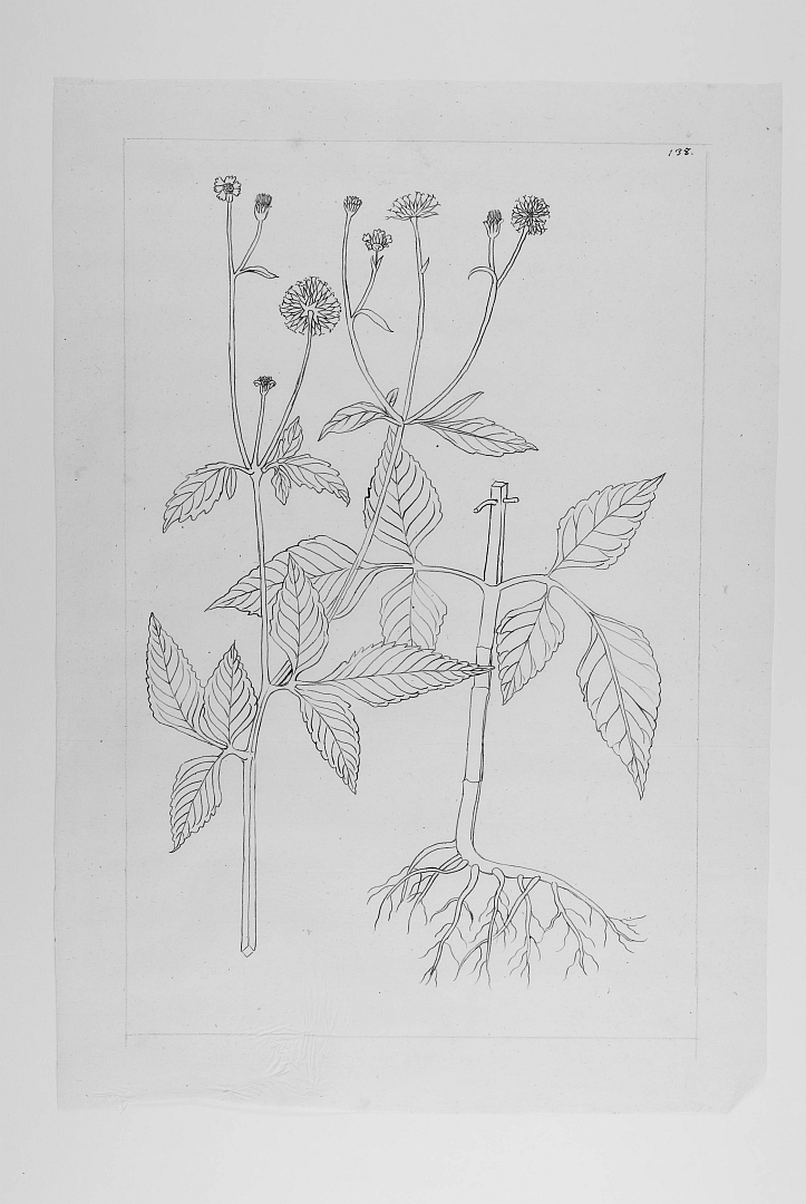 no HD illustration available (m5)