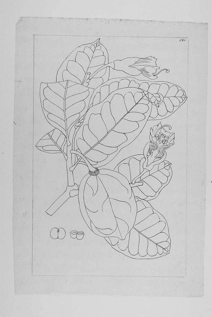 no HD illustration available (m5)