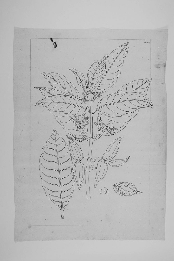 no HD illustration available (m5)