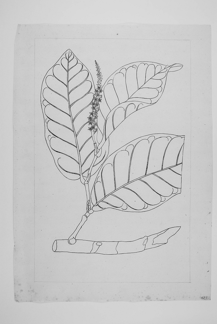 no HD illustration available (m5)