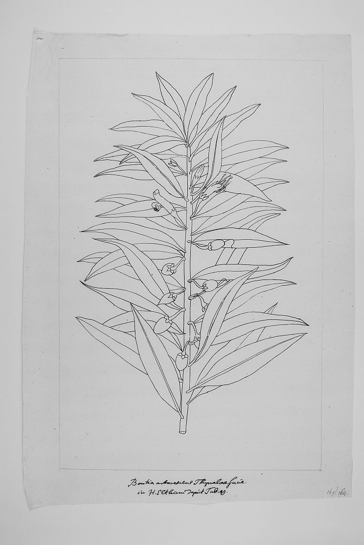 no HD illustration available (m5)