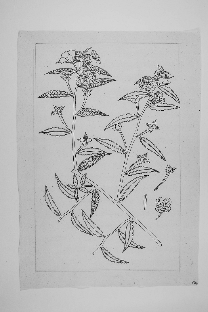 no HD illustration available (m5)