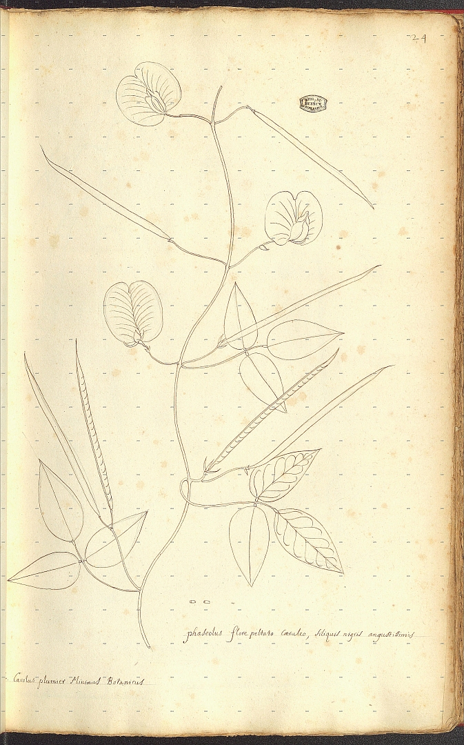 no HD illustration available (m5)
