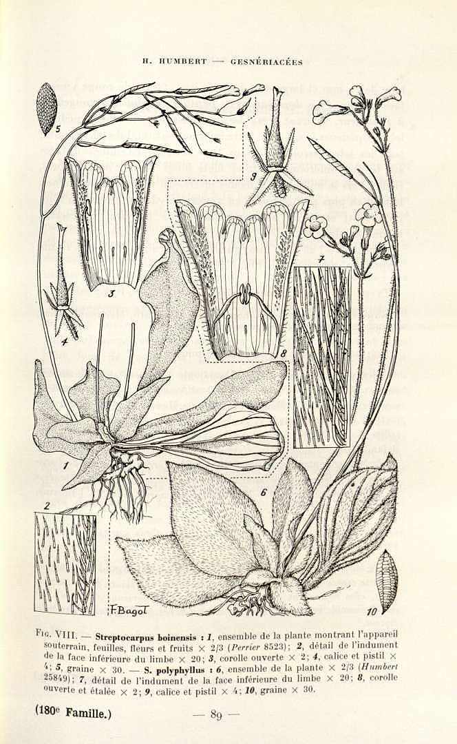 no HD illustration available (m5)