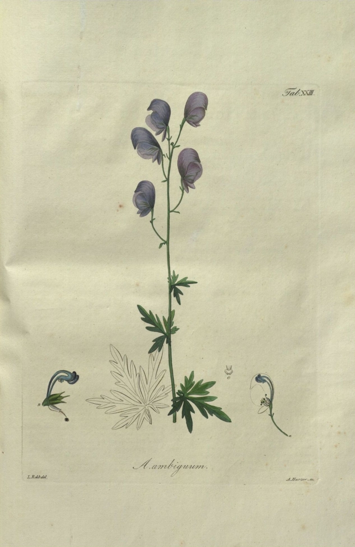 no HD illustration available (m5)