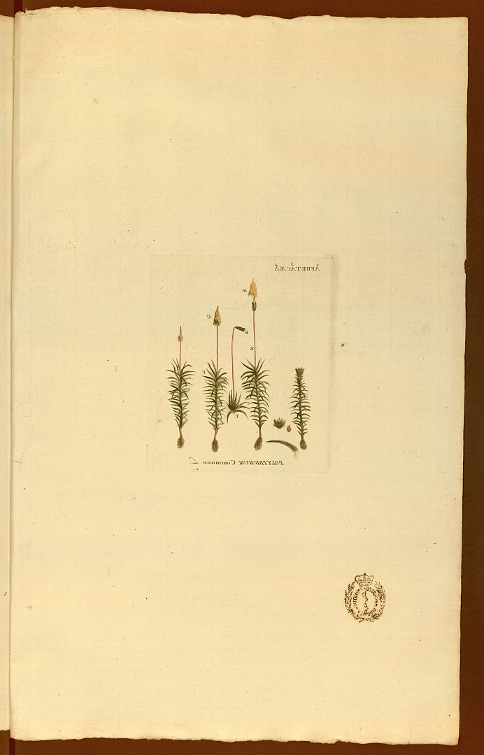 no HD illustration available (m5)